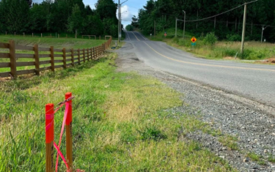 Property Line Disagreements